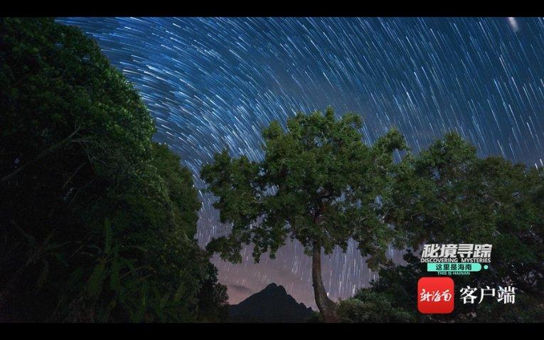 小猫钓鱼游戏龙王版有船