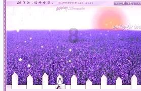 全民剧本大师内置菜单