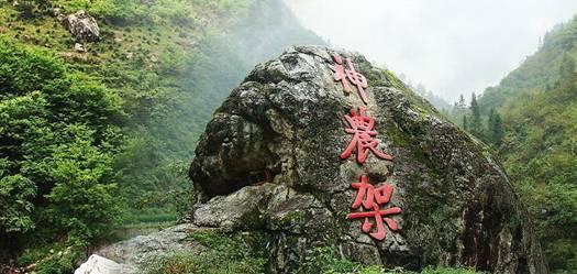 万词王